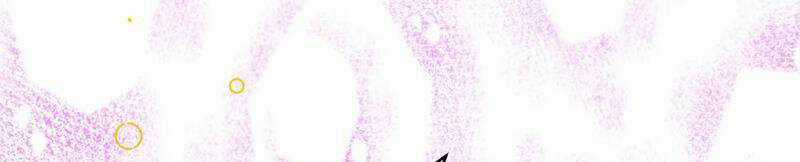 Tân Hỗn Độn Kiếm Thần - Chapter 84 - Trang 61