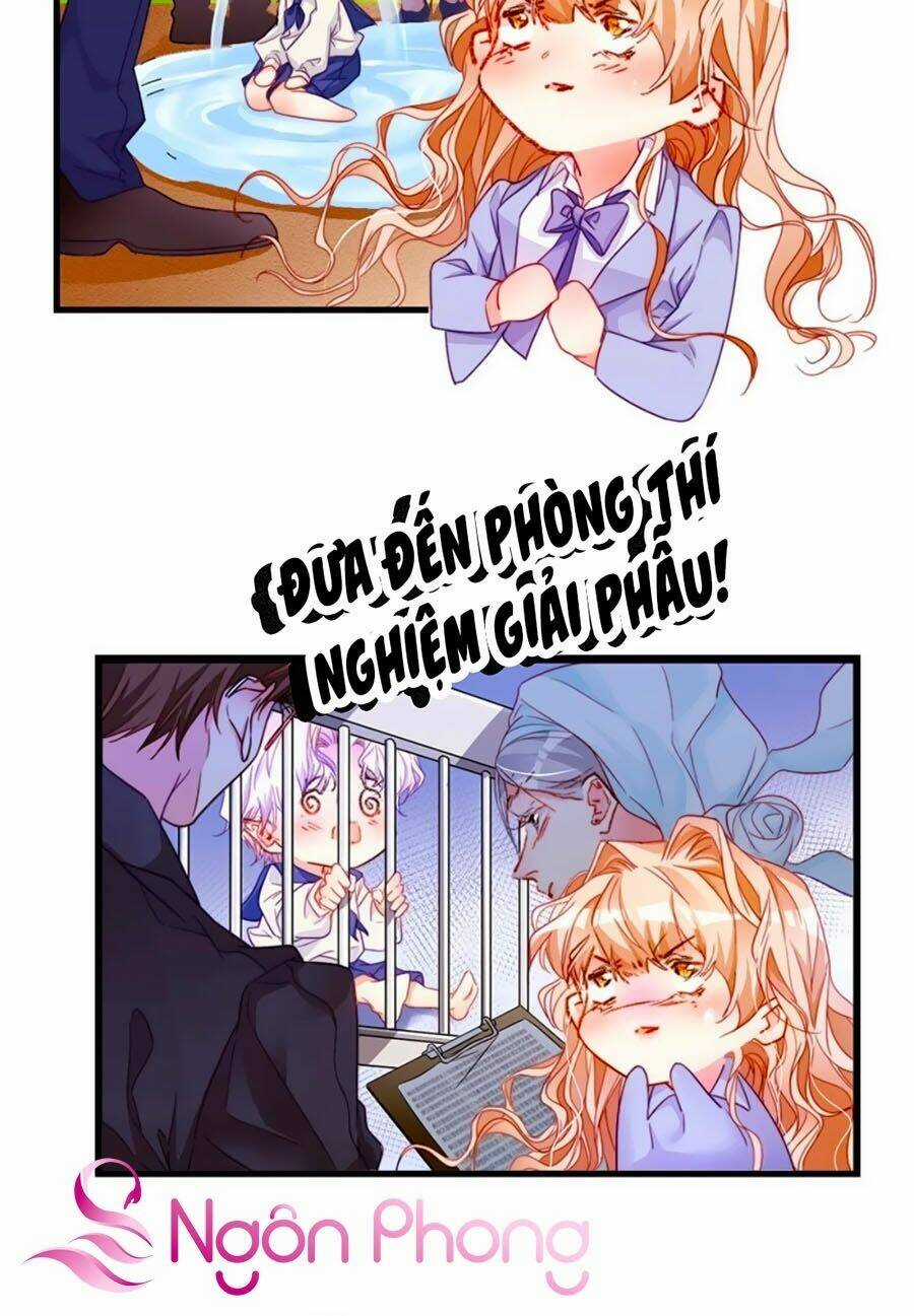 Tân Nương Long Tộc - Chapter 22 - Trang 6