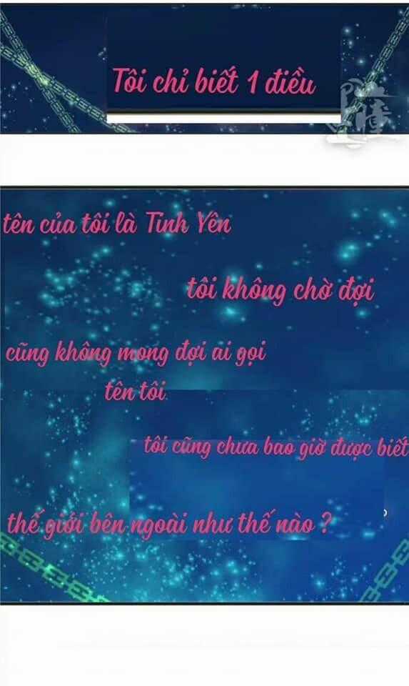 Tân Quang Thiên - Chapter 11 - Trang 2