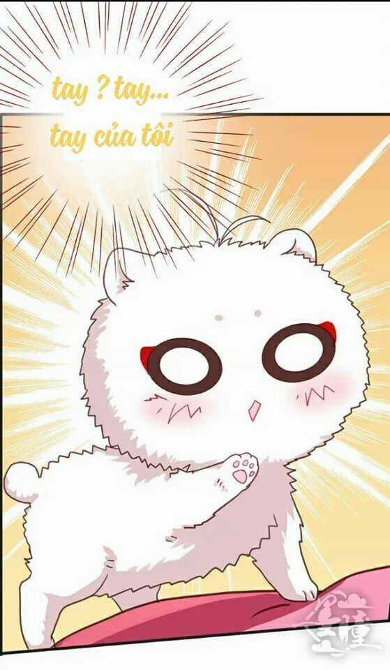 Tân Quang Thiên - Chapter 11 - Trang 5