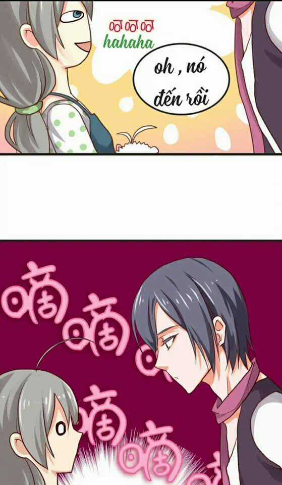 Tân Quang Thiên - Chapter 14 - Trang 17