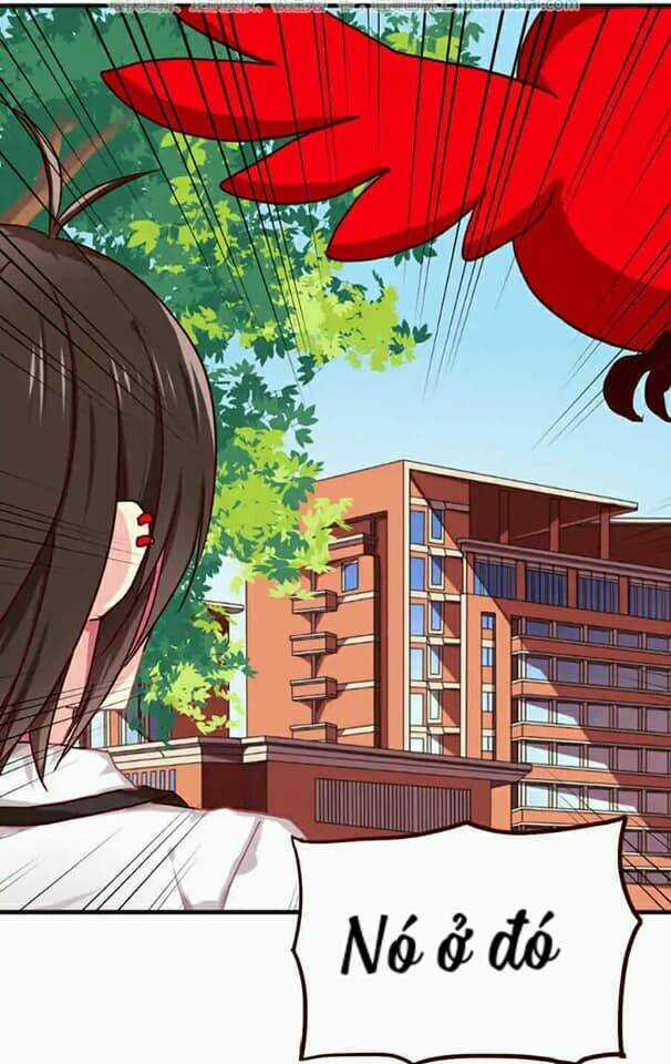 Tân Quang Thiên - Chapter 27 - Trang 10