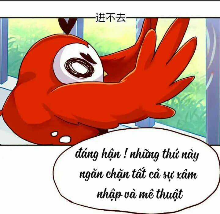 Tân Quang Thiên - Chapter 28 - Trang 17