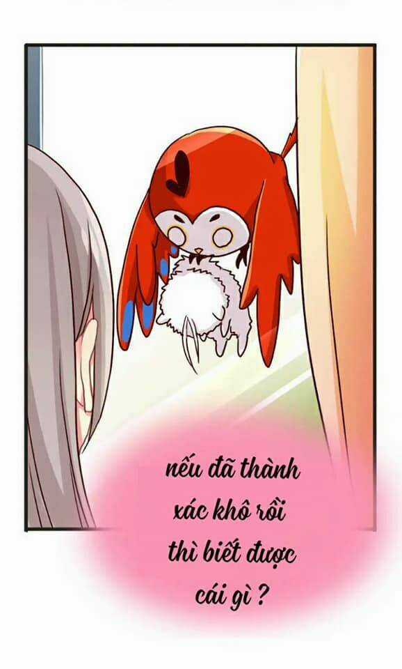 Tân Quang Thiên - Chapter 35 - Trang 29