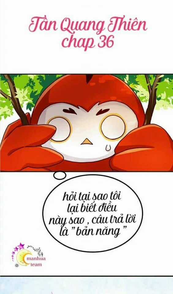 Tân Quang Thiên - Chapter 36 - Trang 1