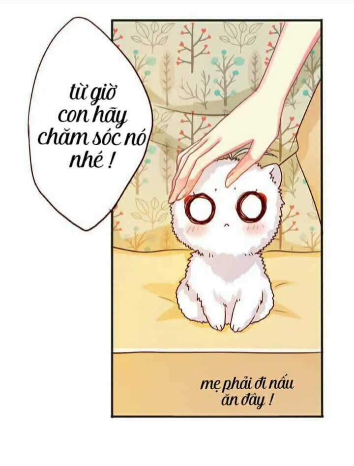 Tân Quang Thiên - Chapter 37 - Trang 5