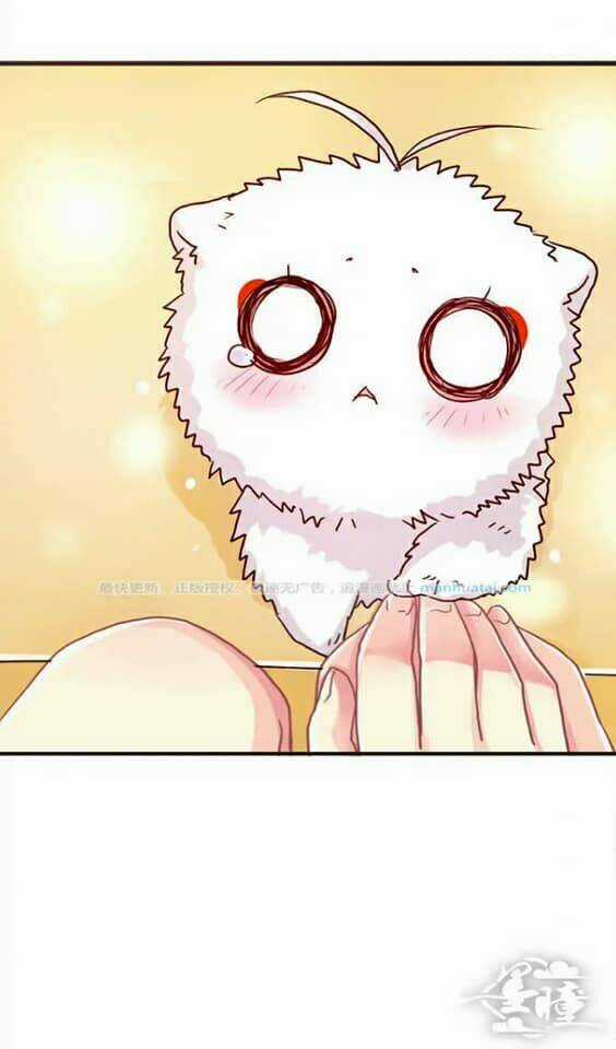 Tân Quang Thiên - Chapter 37 - Trang 8