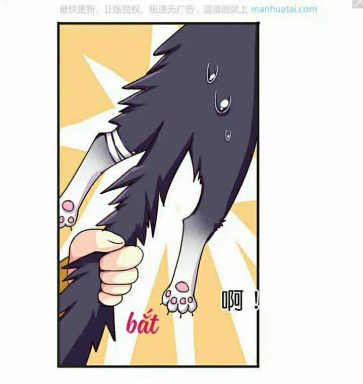 Tân Quang Thiên - Chapter 39 - Trang 24