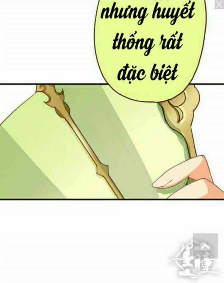 Tân Quang Thiên - Chapter 55 - Trang 82