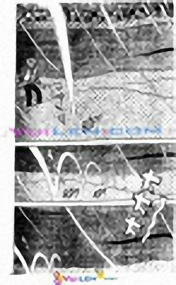 Tân Teppi - Chapter 58 - Trang 123