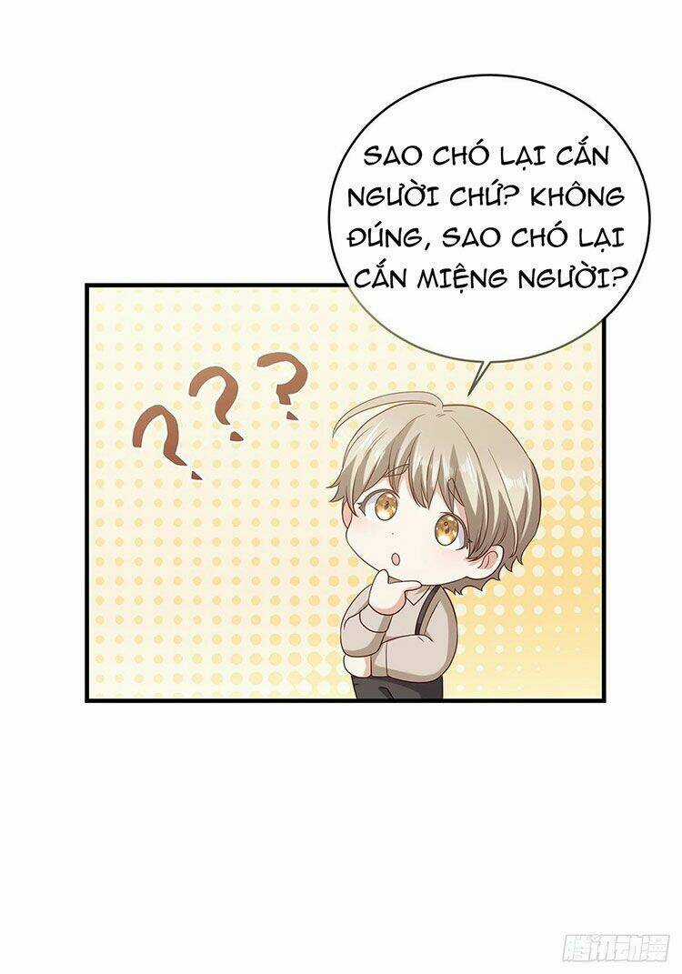 Tần Tưởng Thịnh Gả Cho Anh - Chapter 21 - Trang 30