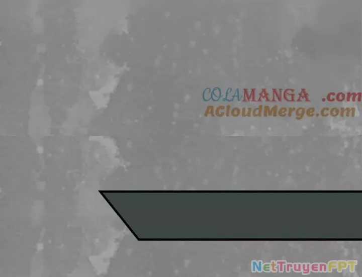 Tạng Phong Hành - Chapter 248 - Trang 29