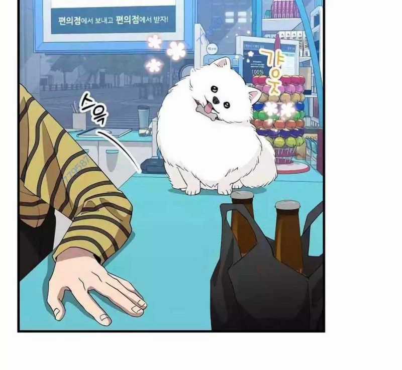 Tạp Hóa Dị Giới - Chapter 14 - Trang 161