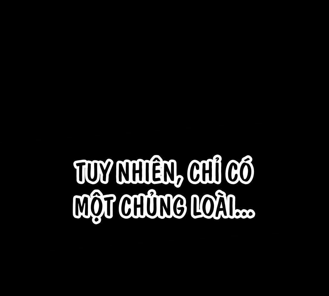 Tạp Hóa Dị Giới - Chapter 9 - Trang 127