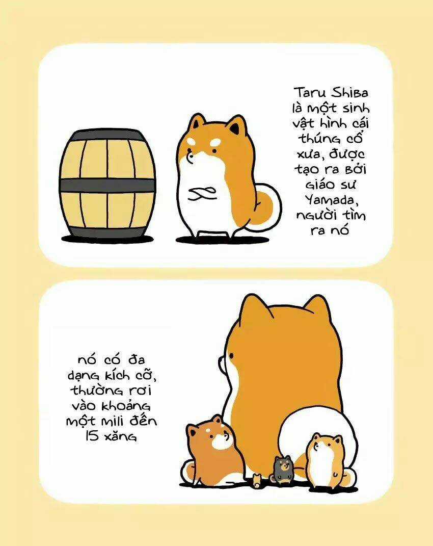 Taru Shiba - Chapter 1 - Trang 7
