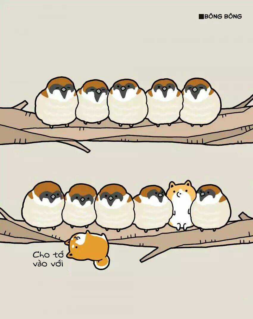 Taru Shiba - Chapter 4 - Trang 7