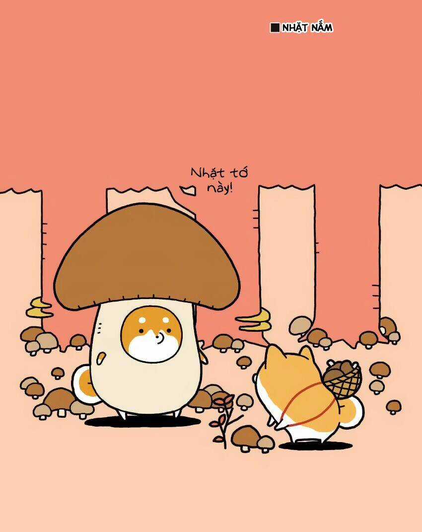 Taru Shiba - Chapter 6 - Trang 11