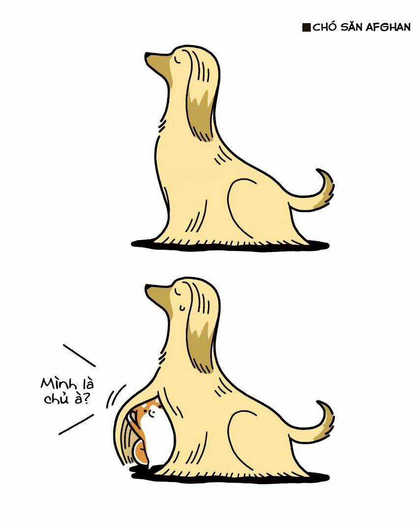 Taru Shiba - Chapter 7 - Trang 5