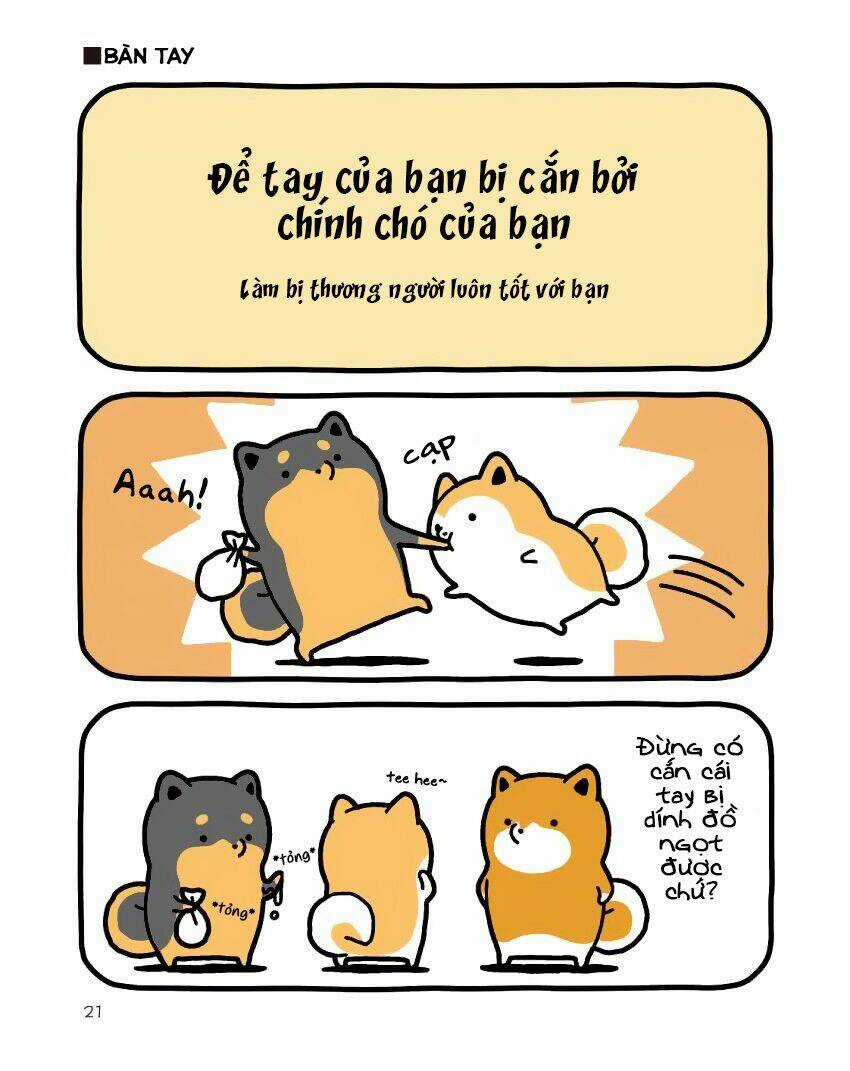 Taru Shiba - Chapter 9 - Trang 22