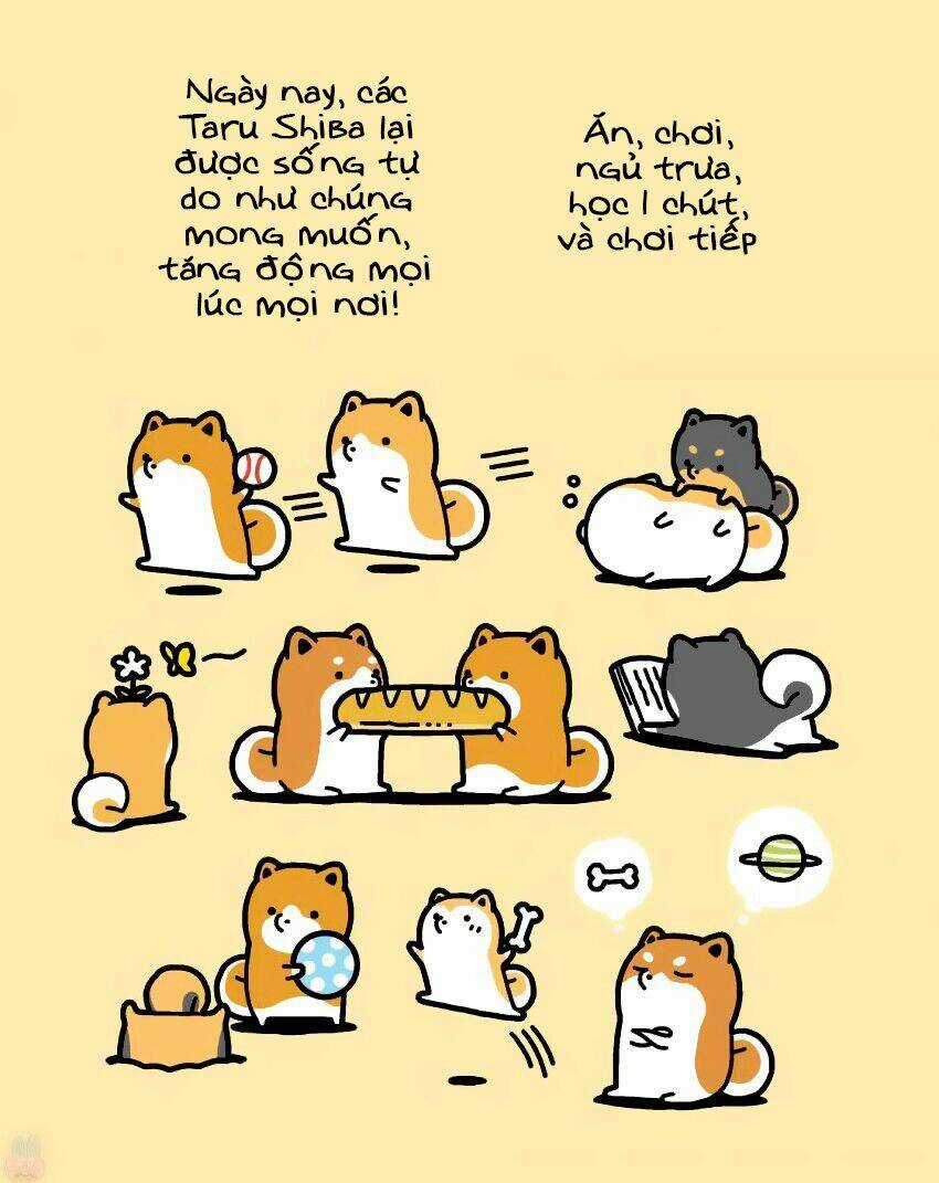 Taru Shiba - Chapter 9 - Trang 8