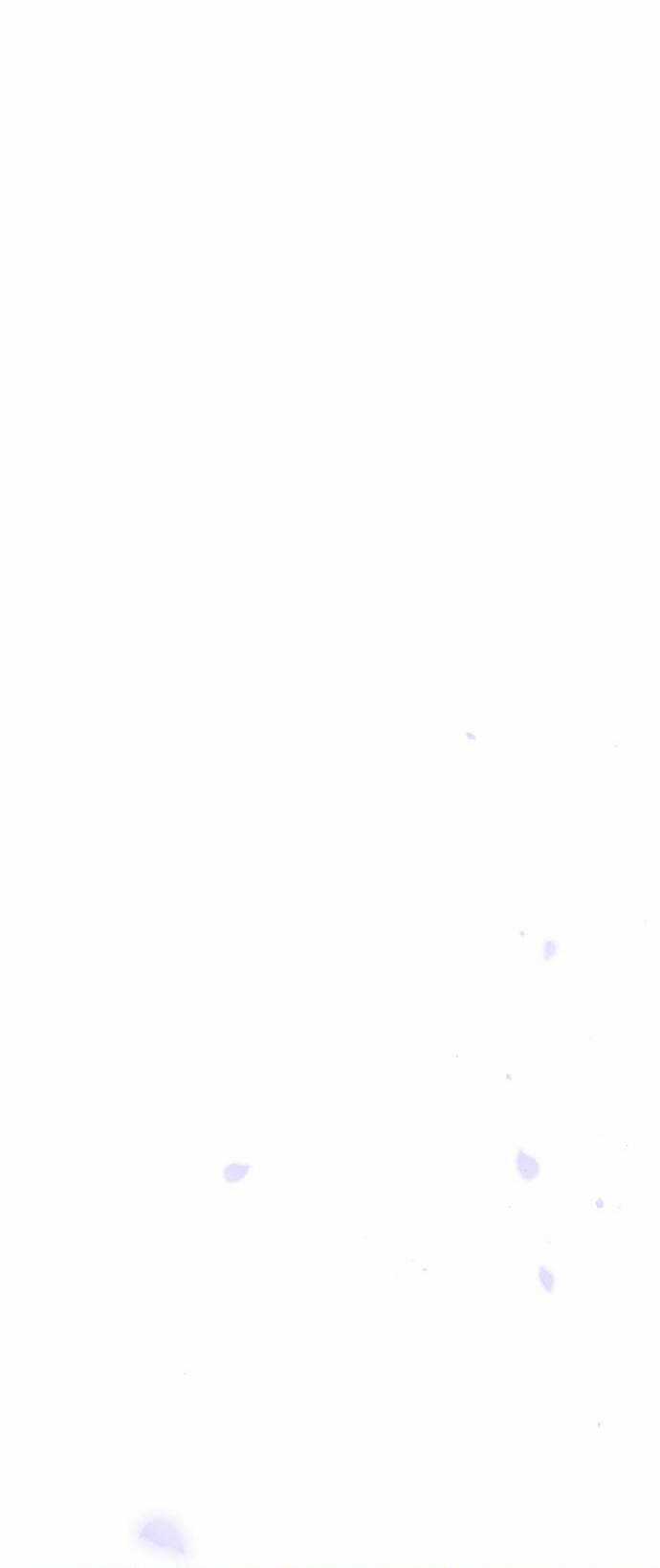 Thái Tử Myolyeong - Chapter 80.2 - Trang 47