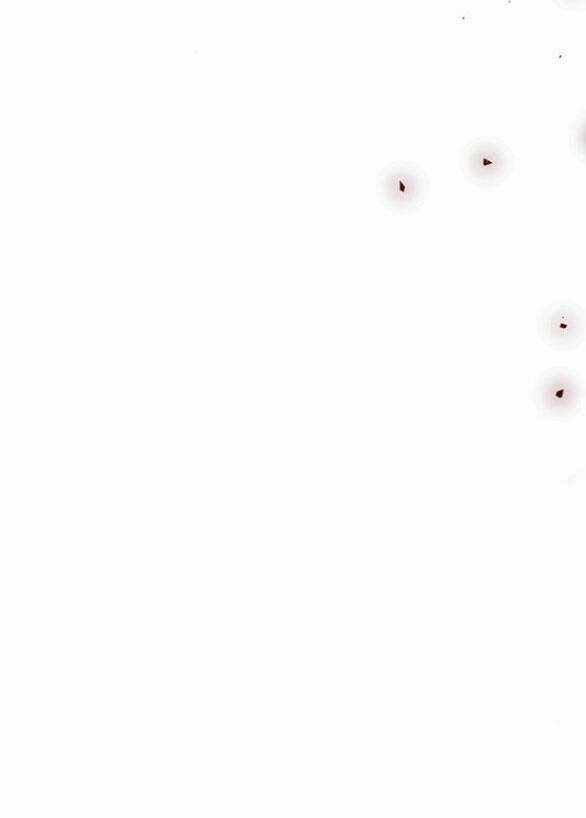 Thái Tử Myolyeong - Chapter 99.2 - Trang 82