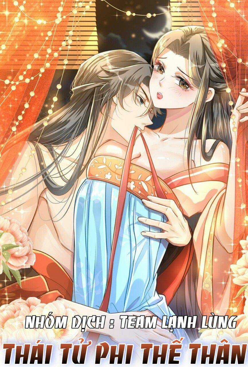 Thái Tử Phi Thế Thân - Chapter 1 - Trang 2