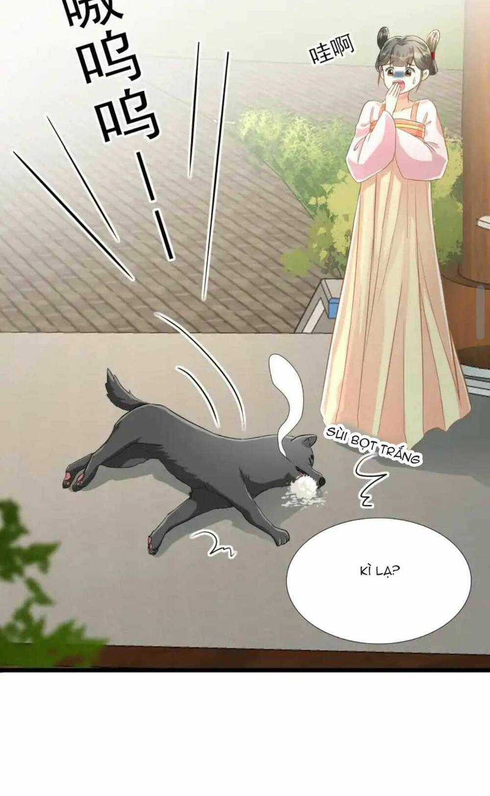 Thái Tử Phi Thế Thân - Chapter 3 - Trang 25