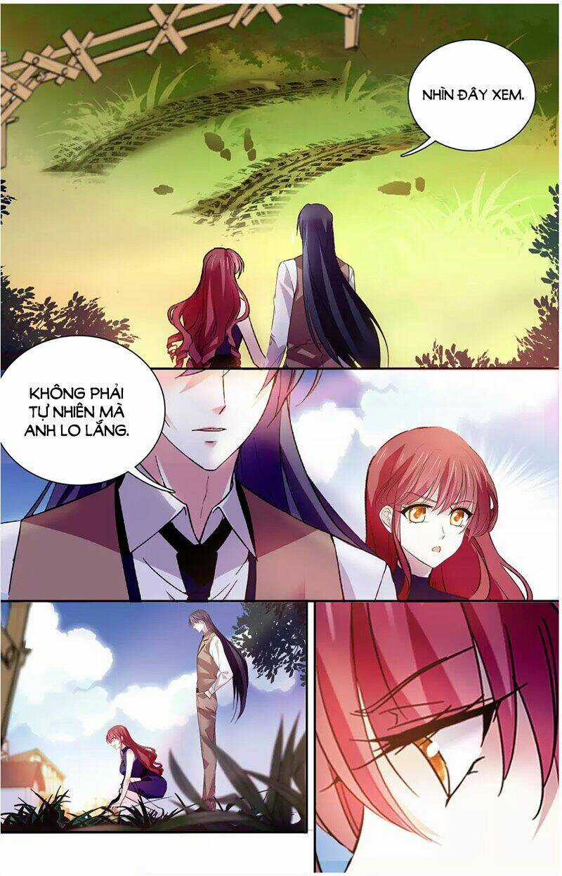 Thâm Hải Nguy Tình - Chapter 104 - Trang 4