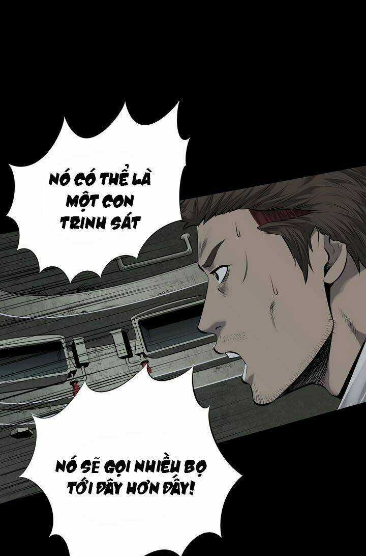 THẢM HỌA ONG ĐỘC - Chapter 103 - Trang 13