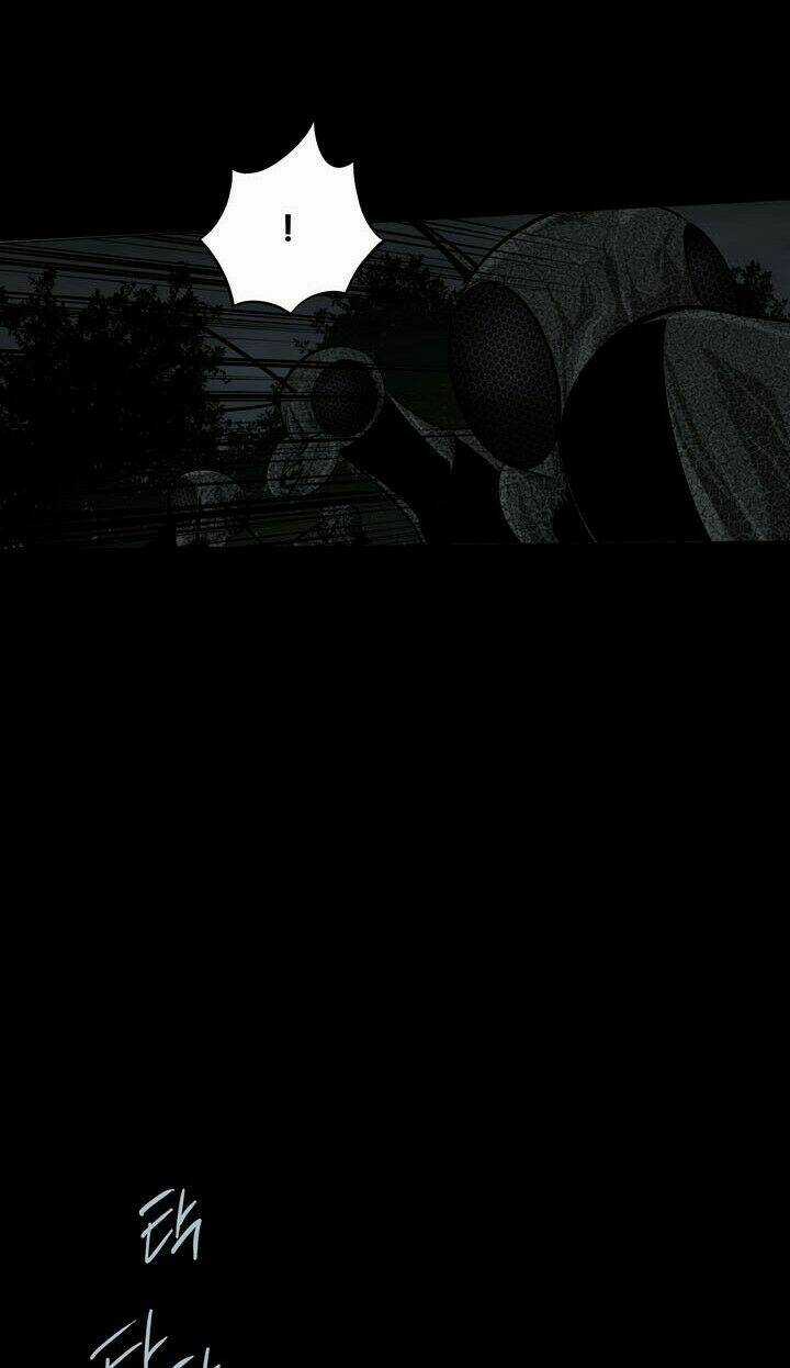 THẢM HỌA ONG ĐỘC - Chapter 107 - Trang 51