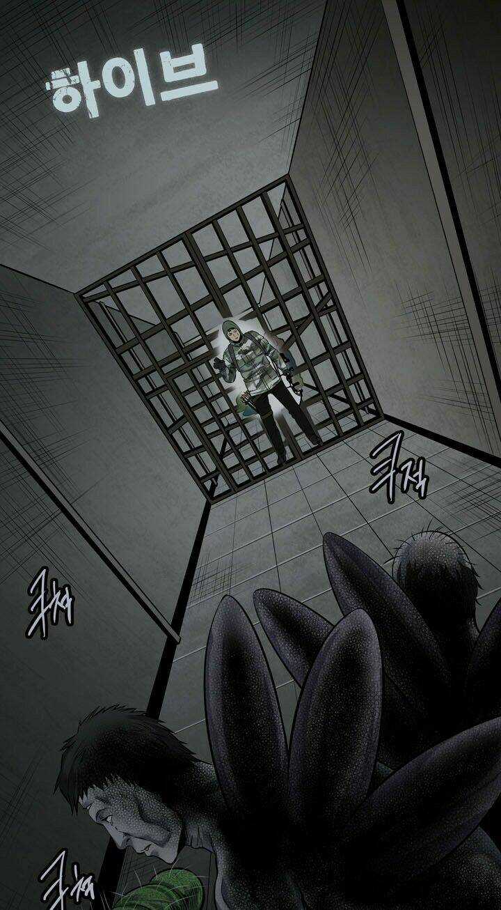 THẢM HỌA ONG ĐỘC - Chapter 111 - Trang 3