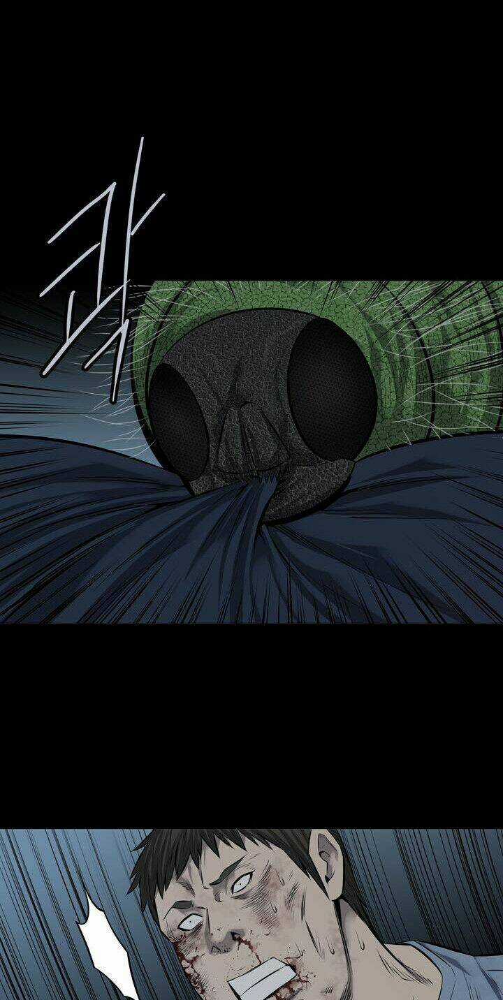 THẢM HỌA ONG ĐỘC - Chapter 111 - Trang 52