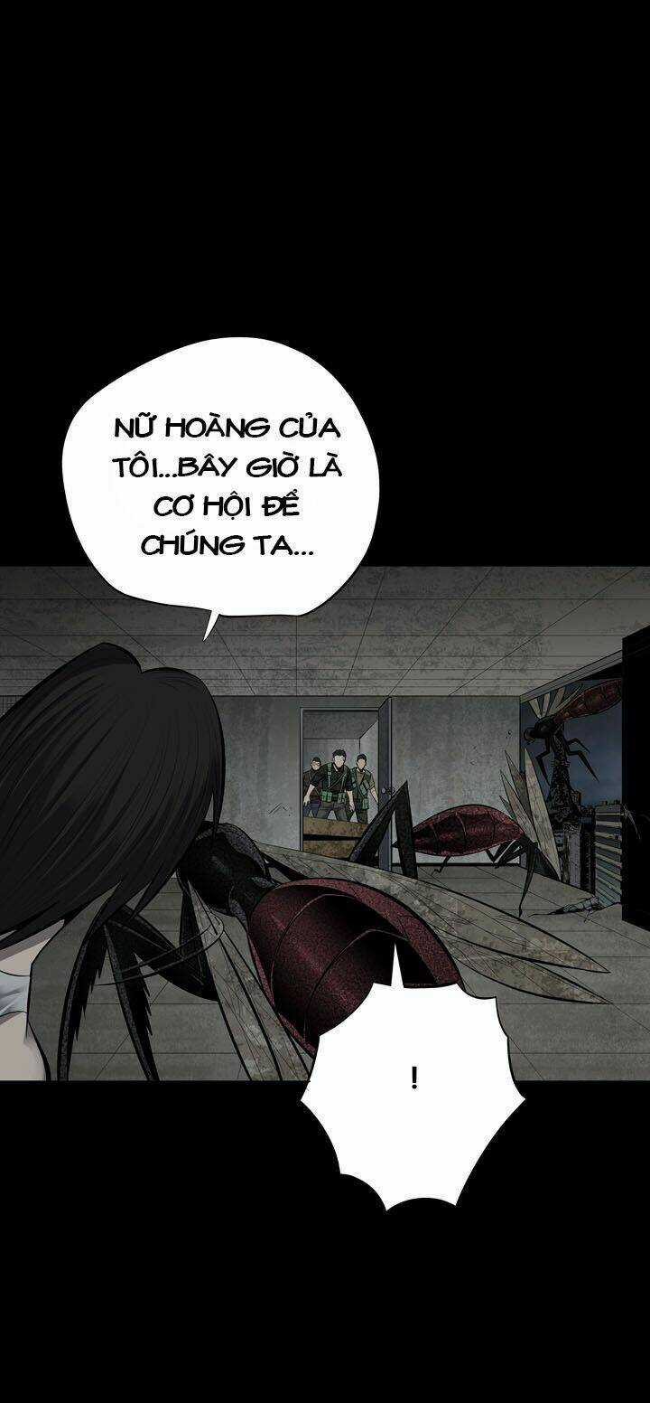 THẢM HỌA ONG ĐỘC - Chapter 115 - Trang 31