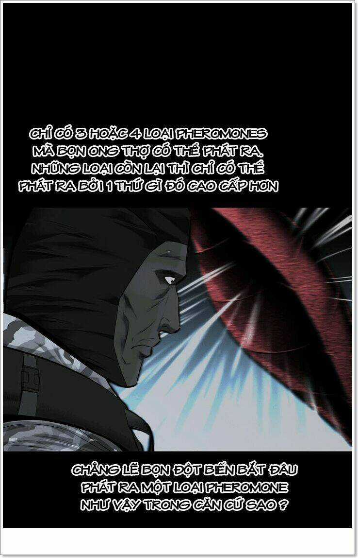 THẢM HỌA ONG ĐỘC - Chapter 117 - Trang 30