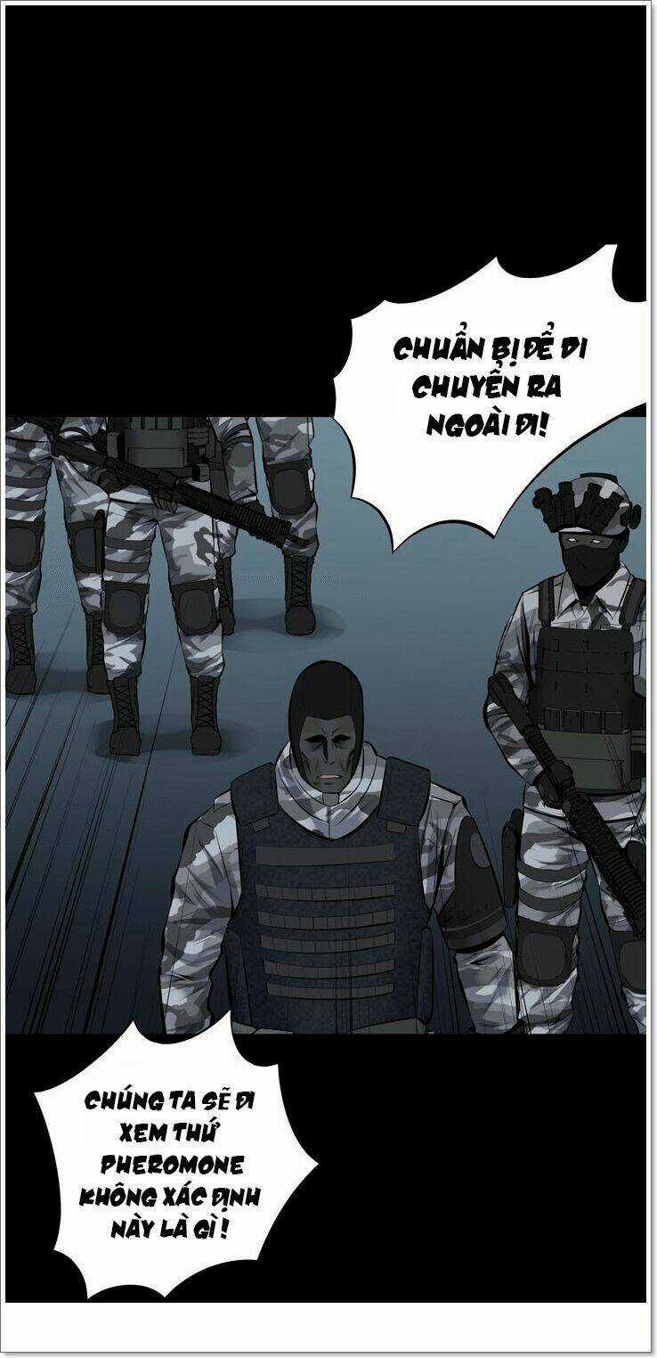 THẢM HỌA ONG ĐỘC - Chapter 117 - Trang 31