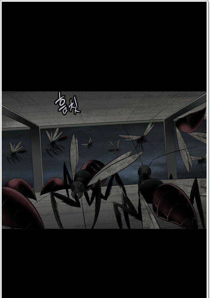 THẢM HỌA ONG ĐỘC - Chapter 117 - Trang 5