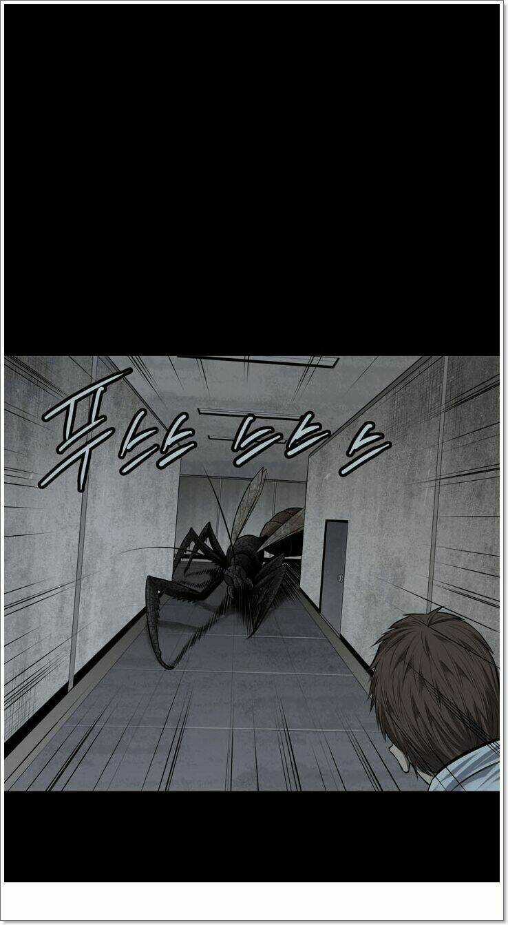 THẢM HỌA ONG ĐỘC - Chapter 117 - Trang 62