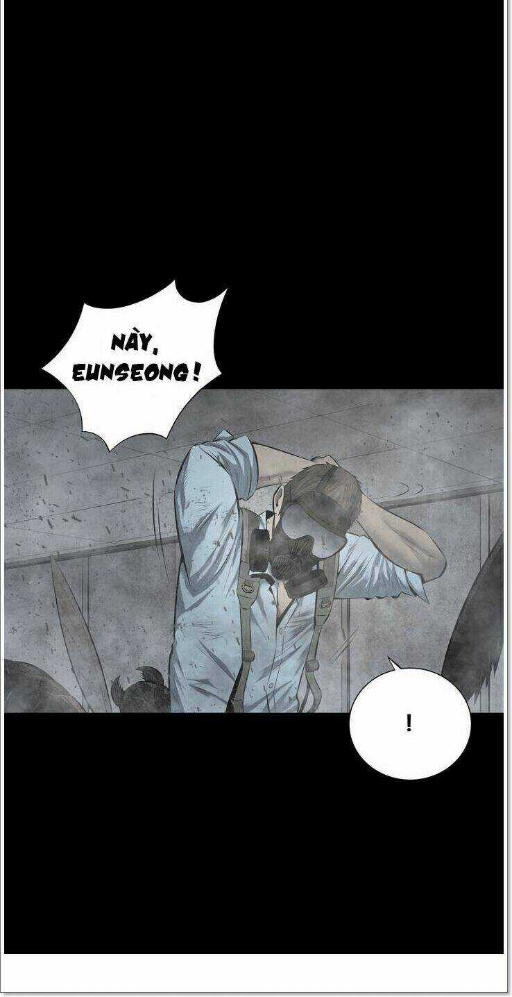 THẢM HỌA ONG ĐỘC - Chapter 119 - Trang 4