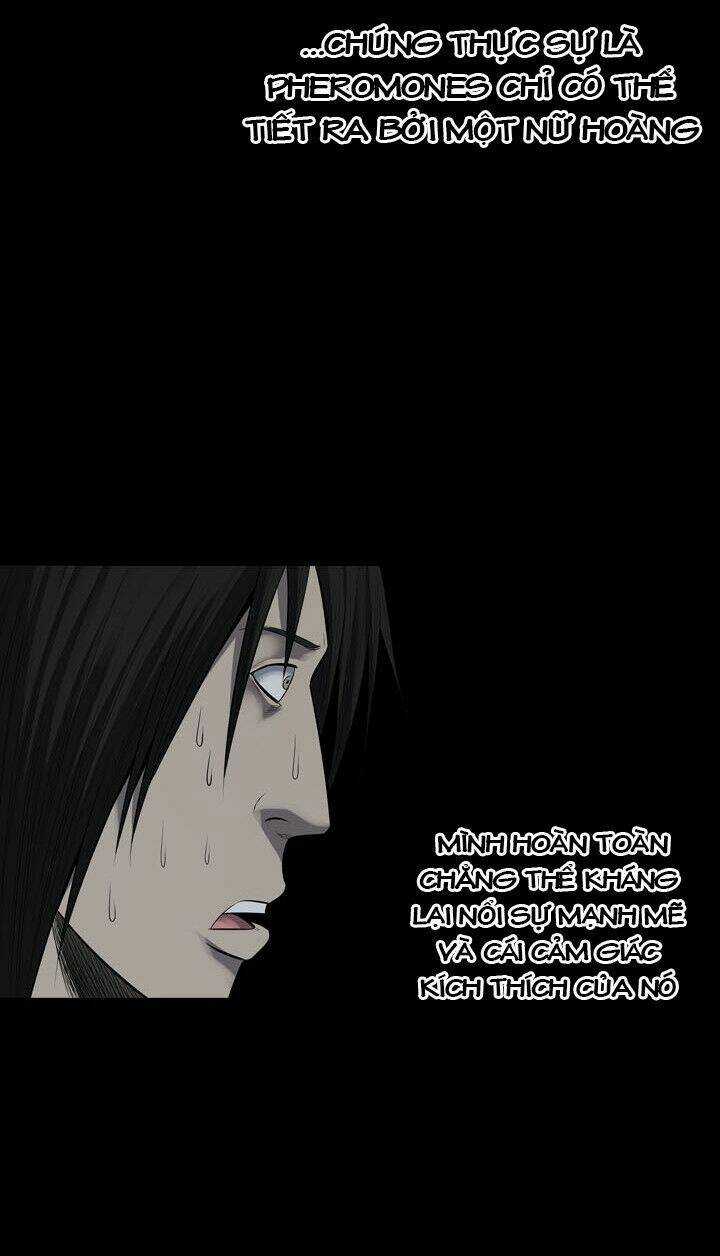 THẢM HỌA ONG ĐỘC - Chapter 122 - Trang 49