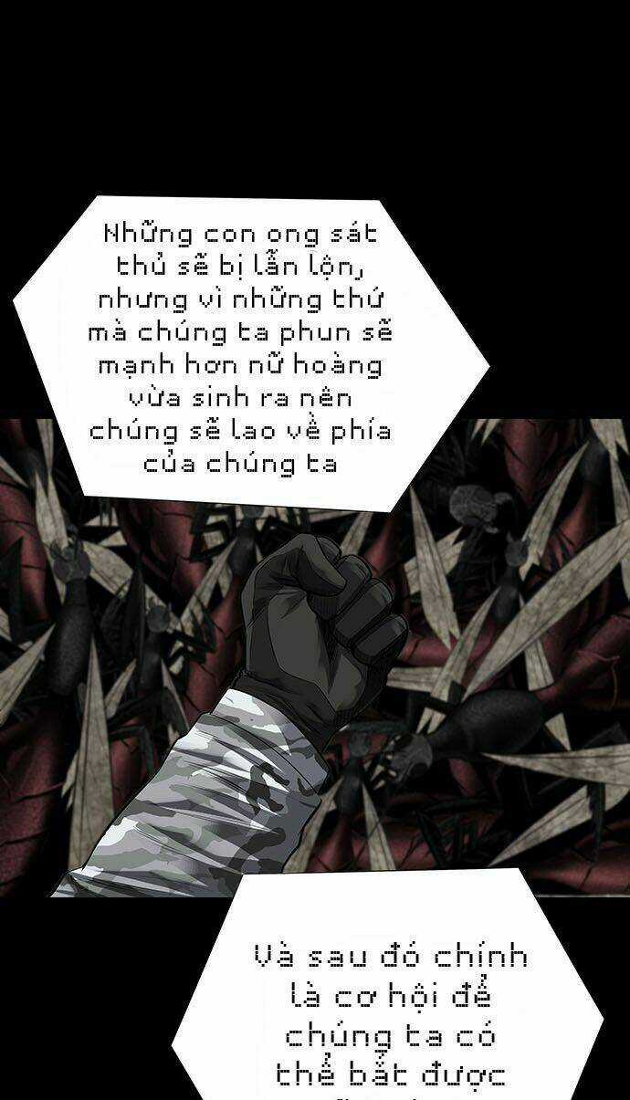 THẢM HỌA ONG ĐỘC - Chapter 124 - Trang 50