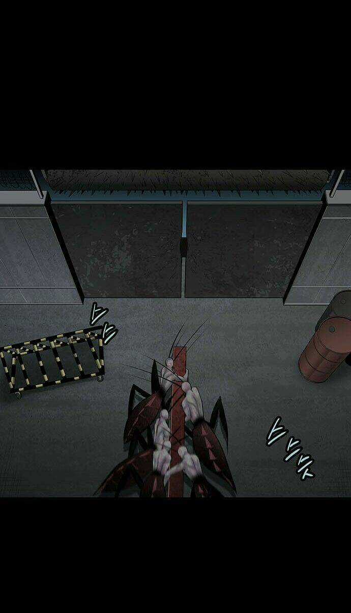 THẢM HỌA ONG ĐỘC - Chapter 126 - Trang 71