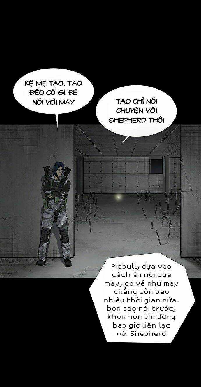 THẢM HỌA ONG ĐỘC - Chapter 131 - Trang 47