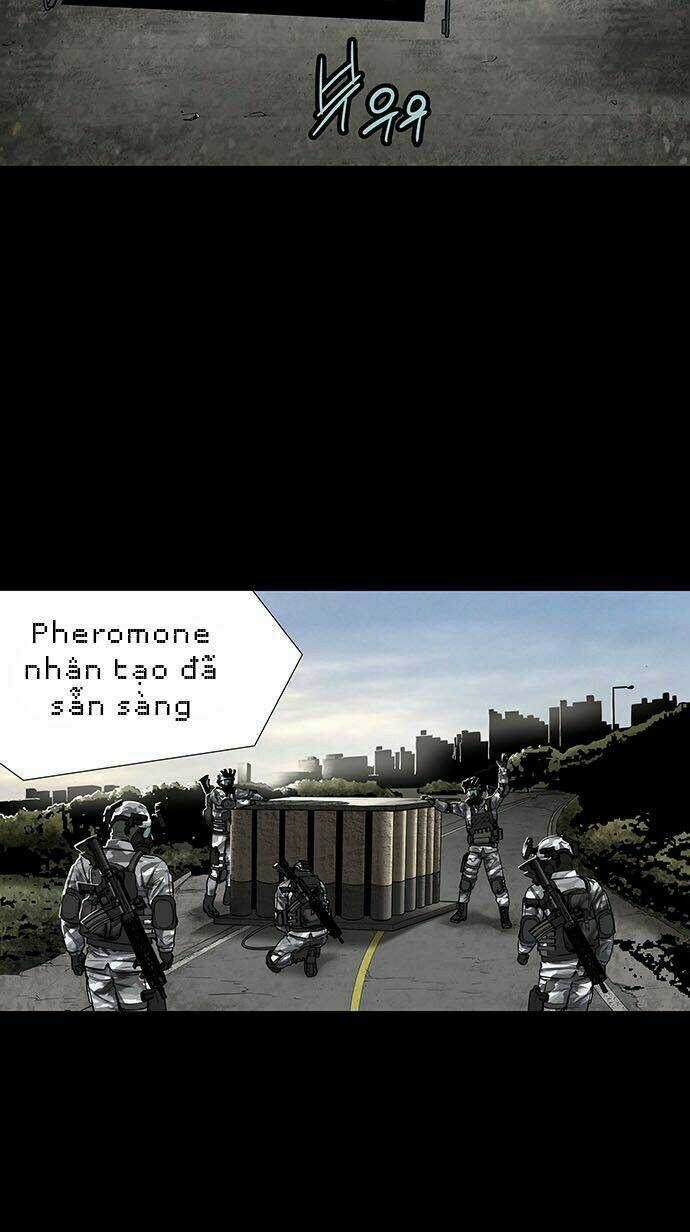 THẢM HỌA ONG ĐỘC - Chapter 132 - Trang 4