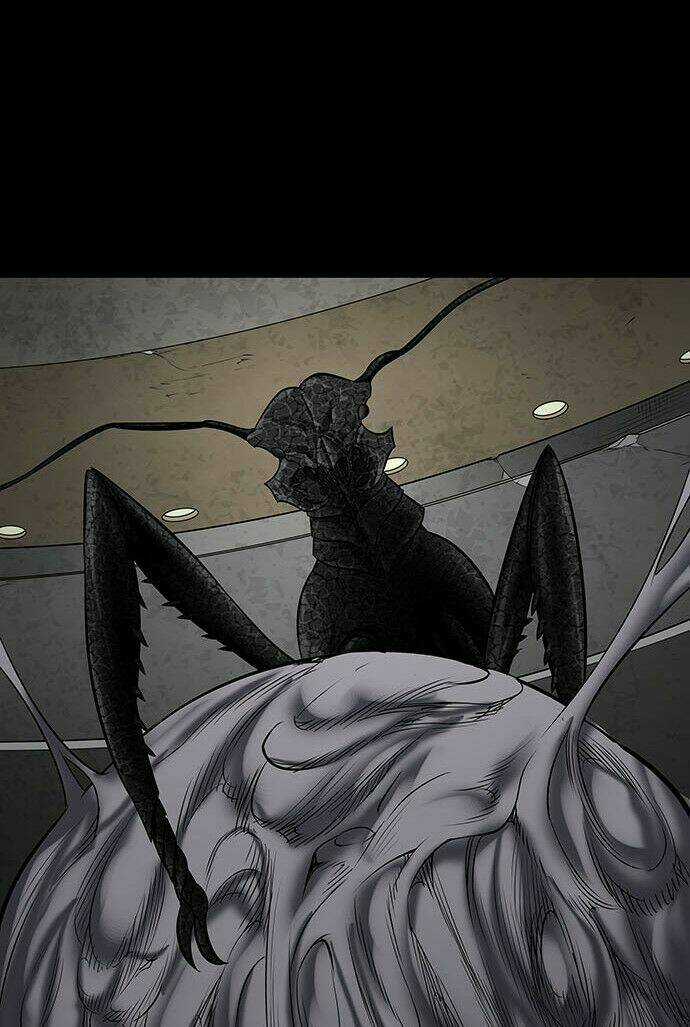 THẢM HỌA ONG ĐỘC - Chapter 133 - Trang 24