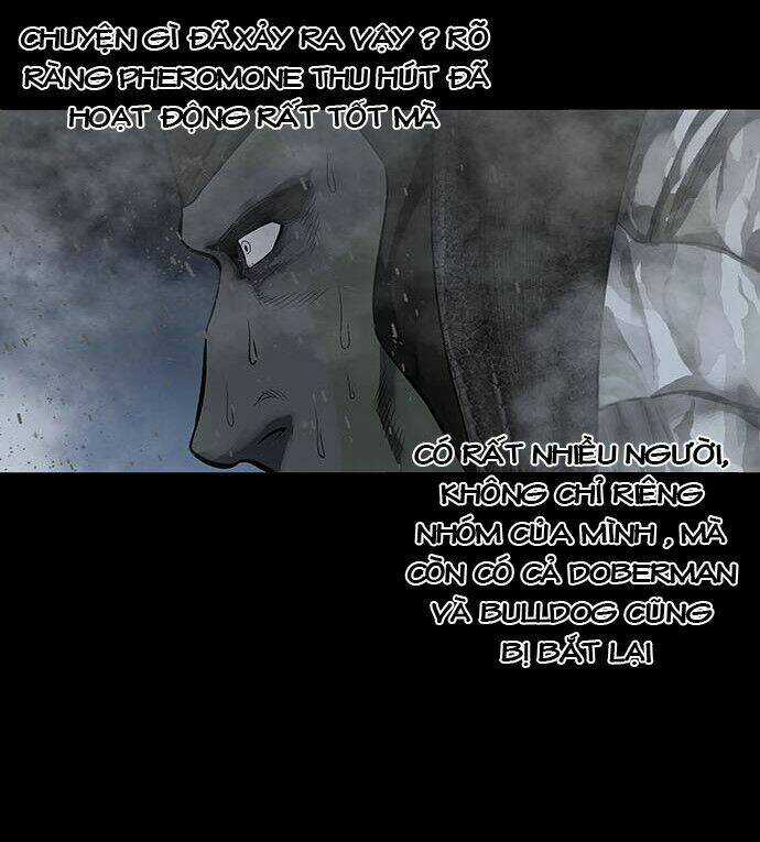 THẢM HỌA ONG ĐỘC - Chapter 133 - Trang 63