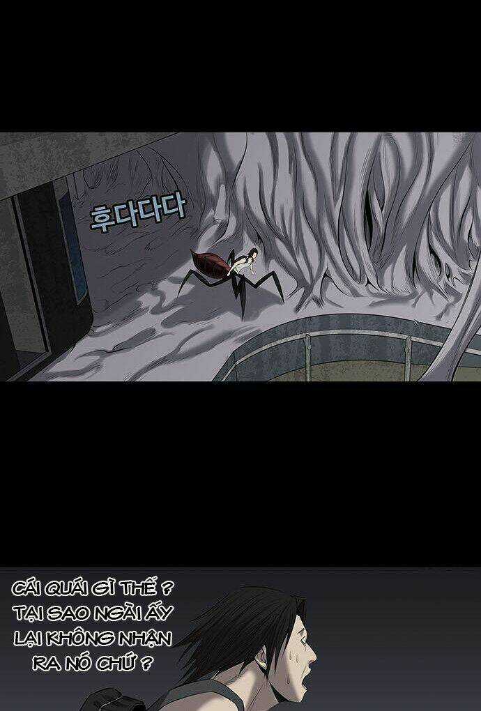 THẢM HỌA ONG ĐỘC - Chapter 142 - Trang 53