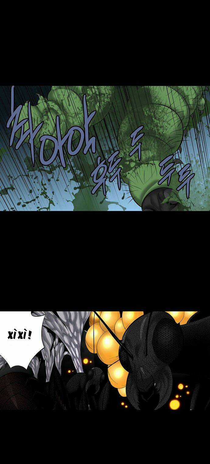 THẢM HỌA ONG ĐỘC - Chapter 145 - Trang 27