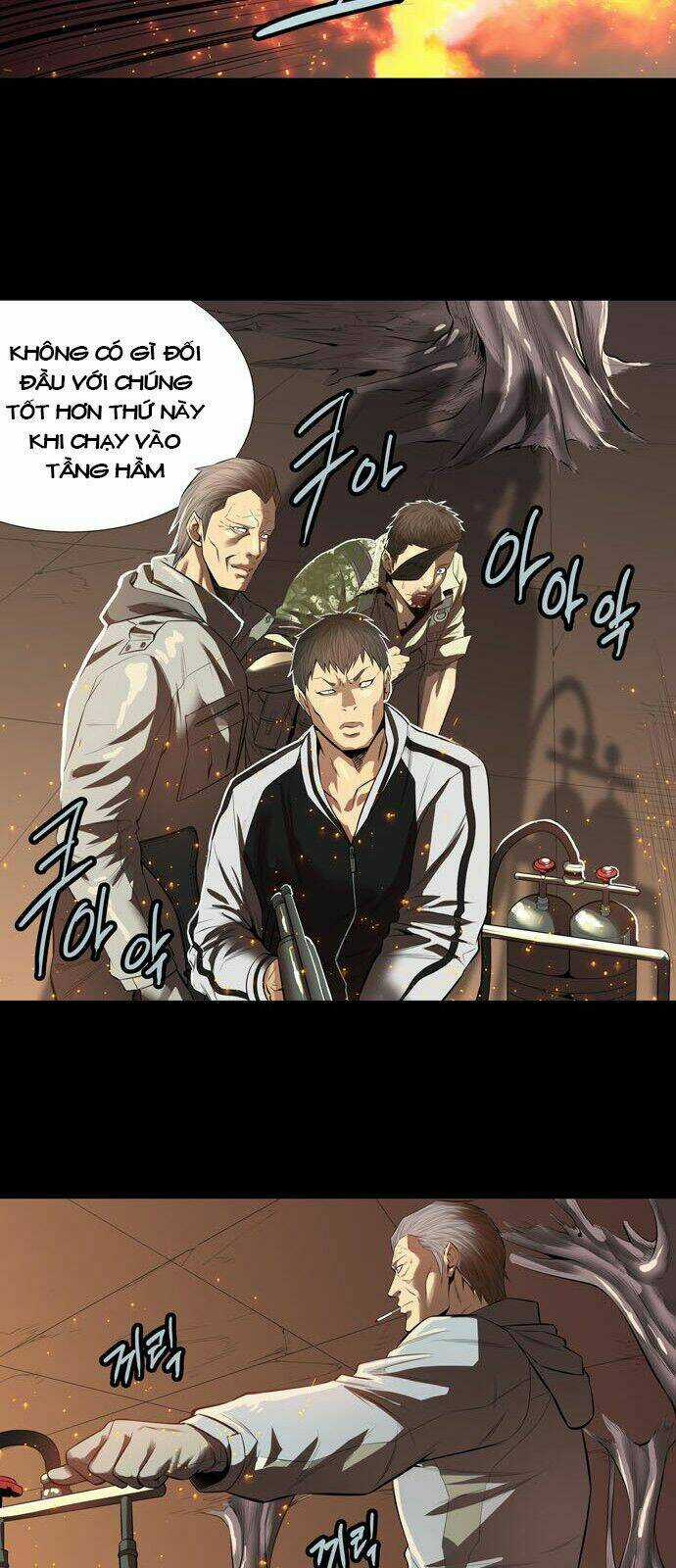 THẢM HỌA ONG ĐỘC - Chapter 148 - Trang 11