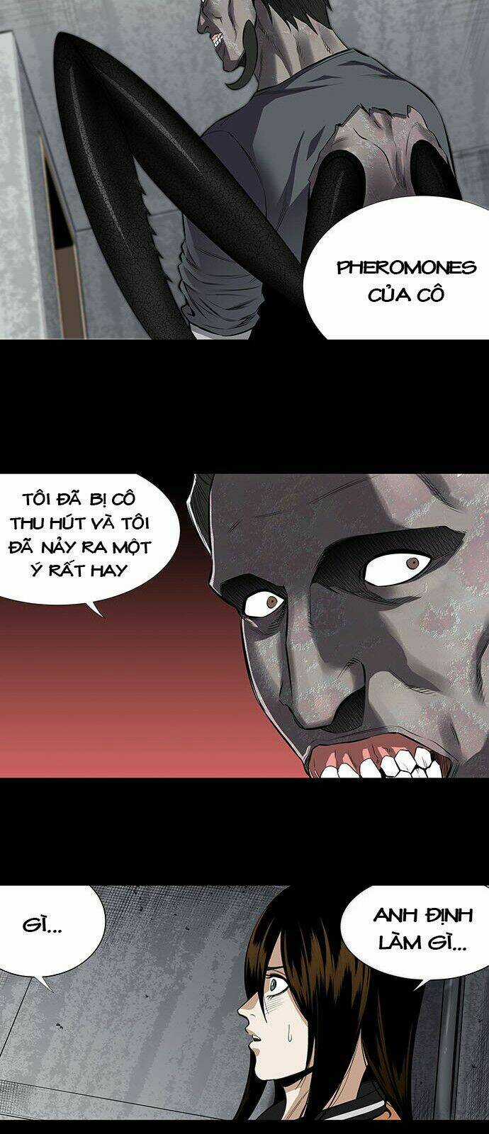 THẢM HỌA ONG ĐỘC - Chapter 152 - Trang 31